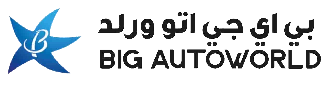 BIG AUTO WORLD